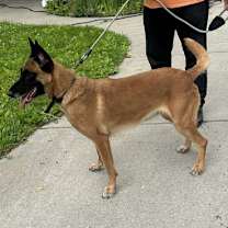 Thumbnail photo of Nina-WI #2