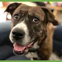 Thumbnail photo of Baby #1