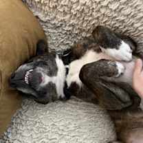 Thumbnail photo of Baby #3