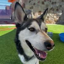 Thumbnail photo of Kiara #2