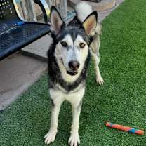 Thumbnail photo of Kiara #4