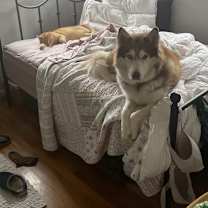 Thumbnail photo of Mick #3