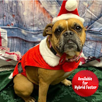 Thumbnail photo of Clarice #1