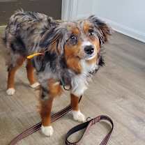 Thumbnail photo of Harper #2