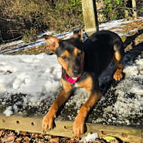 Thumbnail photo of Holly #2