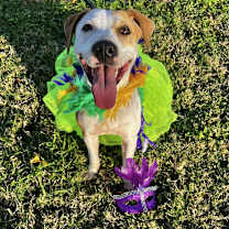 Thumbnail photo of Winona #1