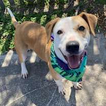 Thumbnail photo of Winona #2