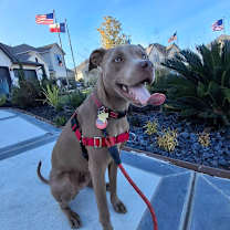 Thumbnail photo of Peanut aka Little Boy #1