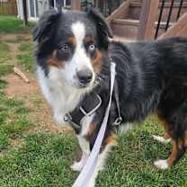 Thumbnail photo of Nigel #1