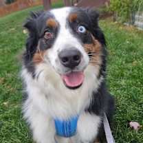 Thumbnail photo of Nigel #2