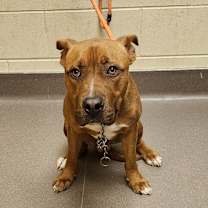 Thumbnail photo of Cypress #2