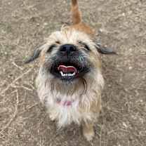 Thumbnail photo of Dancer #4