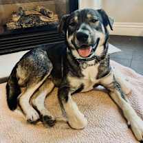 Thumbnail photo of Suga #2