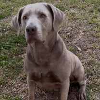 Thumbnail photo of Beckett #2