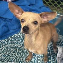 Thumbnail photo of Vivian #1