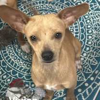 Thumbnail photo of Vivian #2