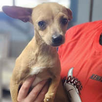 Thumbnail photo of Vivian #4