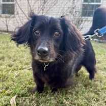 Thumbnail photo of Danny Reid #3