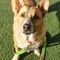 Thumbnail photo of Jax #2