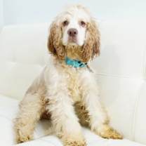 Thumbnail photo of Jedrek #1