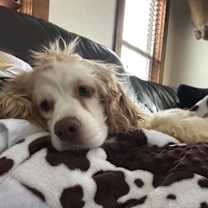 Thumbnail photo of Jedrek #2