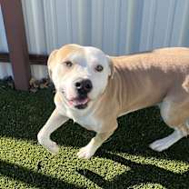 Thumbnail photo of Horton #1