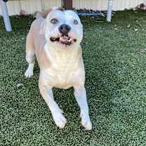 Thumbnail photo of Horton #2