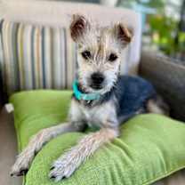 Thumbnail photo of Ares #3