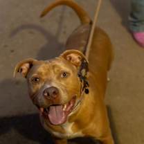 Thumbnail photo of POSEY #2