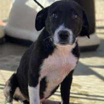 Thumbnail photo of Wordsworth #2