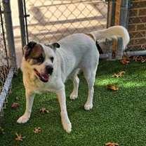 Thumbnail photo of Jewels #3