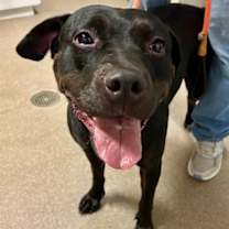 Thumbnail photo of Cici #1