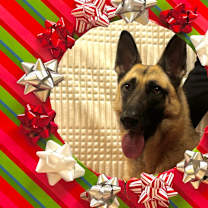 Thumbnail photo of Tillie #1