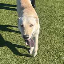 Thumbnail photo of REM #3