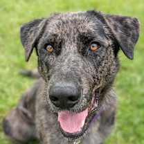 Thumbnail photo of Princess #2