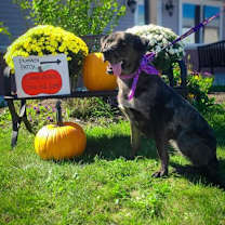 Thumbnail photo of Princess #3