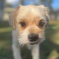 Thumbnail photo of Bitty  #2