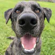 Thumbnail photo of Princess #4