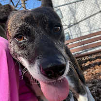 Thumbnail photo of Otis #3