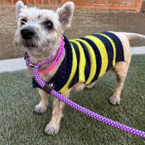 Thumbnail photo of Emma and Sarra #2