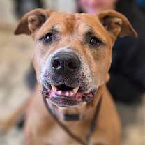 Thumbnail photo of Kingston #1