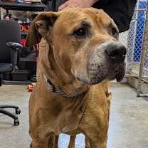 Thumbnail photo of Kingston #2