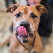 Thumbnail photo of Kingston #3