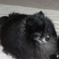 Thumbnail photo of Max #2