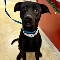 Thumbnail photo of Annabeth K2 #1