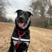 Thumbnail photo of Dina #1