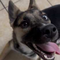 Thumbnail photo of Snow Globe #2