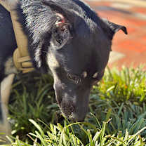 Thumbnail photo of Dina #3