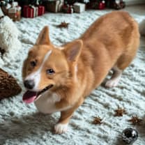 Thumbnail photo of George  #1