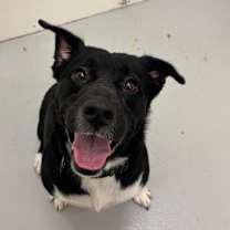 Thumbnail photo of Charlotte #1